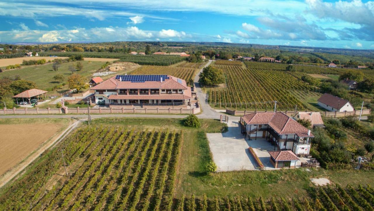 Bed and Breakfast Ebner Pince - Panzio Turbekpuszta Экстерьер фото